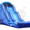 18' Dolphin Wave Wet/Dry Water Slide Single Lane Commercial Inflatable For Sale