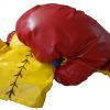 Oversized Blue or Red Pair of Boxing Gloves for Inflatable Boxing Ring