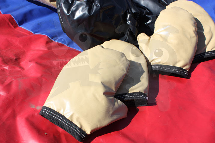Foam Commercial Sumo Suits with Mat For Sale